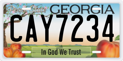 GA license plate CAY7234