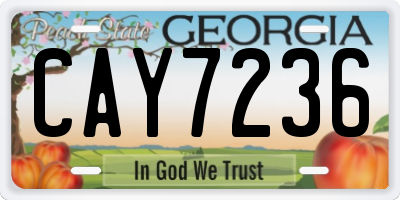 GA license plate CAY7236