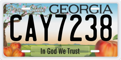 GA license plate CAY7238