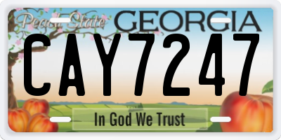 GA license plate CAY7247