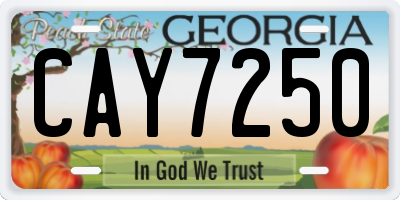 GA license plate CAY7250