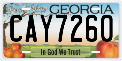 GA license plate CAY7260