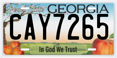 GA license plate CAY7265