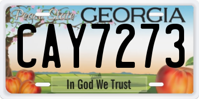 GA license plate CAY7273