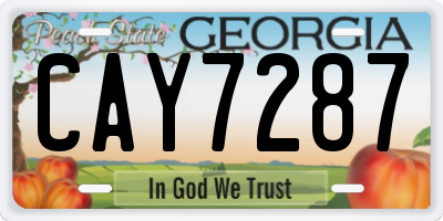 GA license plate CAY7287