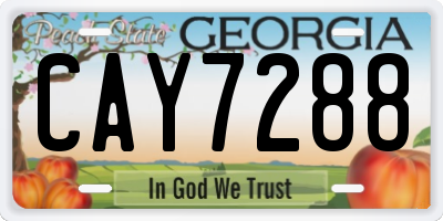 GA license plate CAY7288