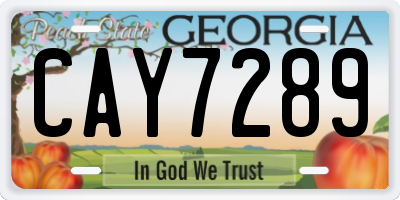 GA license plate CAY7289