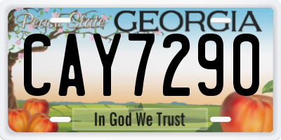 GA license plate CAY7290