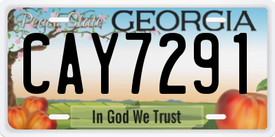 GA license plate CAY7291