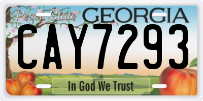 GA license plate CAY7293