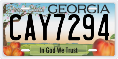 GA license plate CAY7294