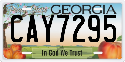 GA license plate CAY7295