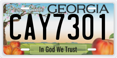 GA license plate CAY7301
