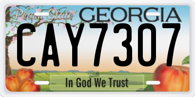 GA license plate CAY7307