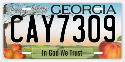 GA license plate CAY7309
