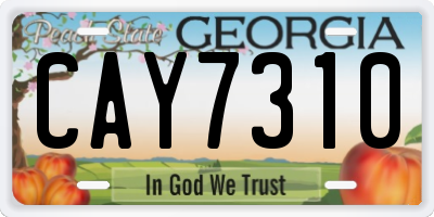 GA license plate CAY7310