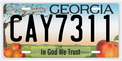 GA license plate CAY7311