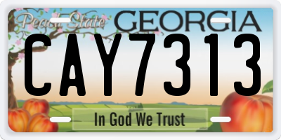 GA license plate CAY7313