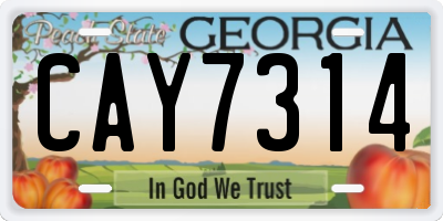GA license plate CAY7314