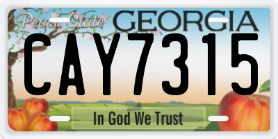 GA license plate CAY7315