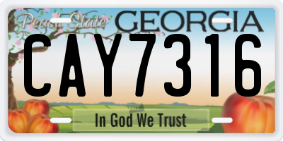 GA license plate CAY7316