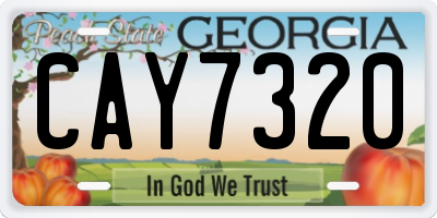 GA license plate CAY7320