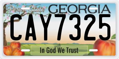 GA license plate CAY7325