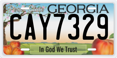 GA license plate CAY7329