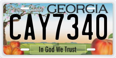 GA license plate CAY7340