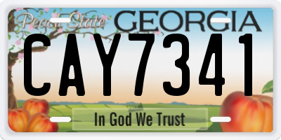 GA license plate CAY7341