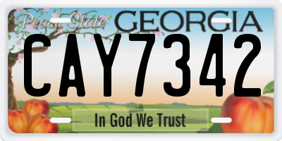 GA license plate CAY7342