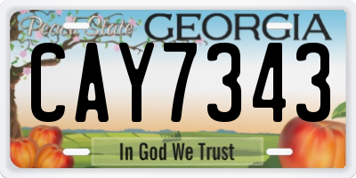 GA license plate CAY7343