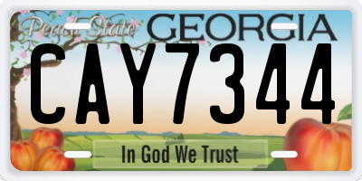 GA license plate CAY7344