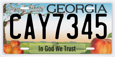 GA license plate CAY7345
