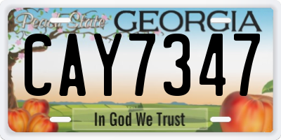 GA license plate CAY7347