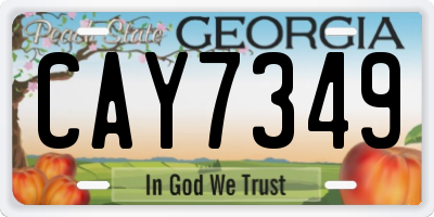 GA license plate CAY7349