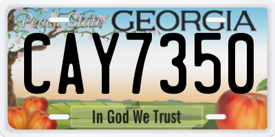 GA license plate CAY7350