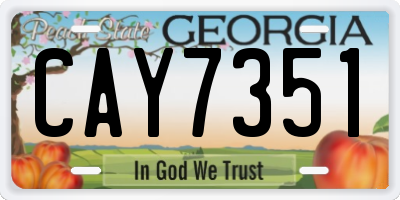 GA license plate CAY7351