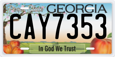 GA license plate CAY7353
