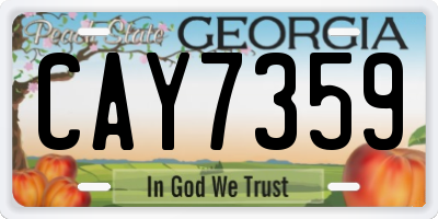 GA license plate CAY7359