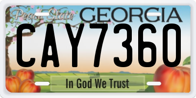 GA license plate CAY7360