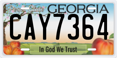 GA license plate CAY7364