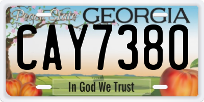 GA license plate CAY7380