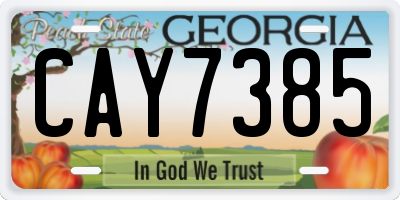 GA license plate CAY7385