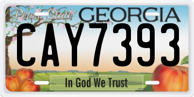 GA license plate CAY7393