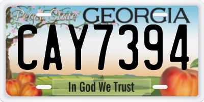 GA license plate CAY7394