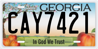 GA license plate CAY7421