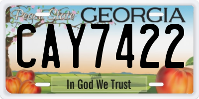 GA license plate CAY7422