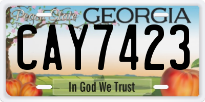 GA license plate CAY7423