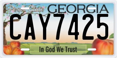 GA license plate CAY7425